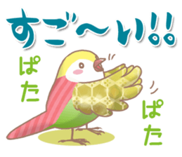 colorful cute birds sticker #4297427