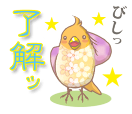 colorful cute birds sticker #4297429