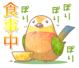 colorful cute birds sticker #4297440