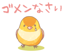 colorful cute birds sticker #4297449