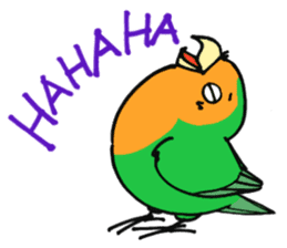 Picotan the lovebird - in English sticker #4299192