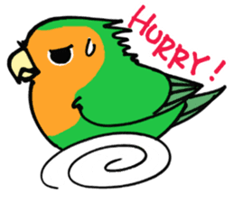 Picotan the lovebird - in English sticker #4299195