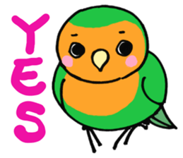 Picotan the lovebird - in English sticker #4299197