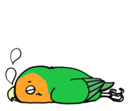 Picotan the lovebird - in English sticker #4299204