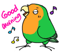Picotan the lovebird - in English sticker #4299206