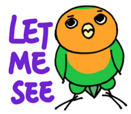 Picotan the lovebird - in English sticker #4299212