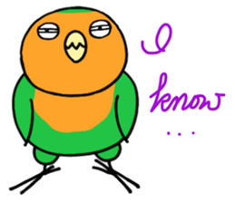 Picotan the lovebird - in English sticker #4299216