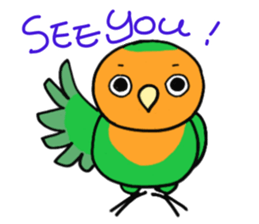 Picotan the lovebird - in English sticker #4299217