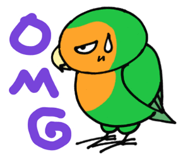 Picotan the lovebird - in English sticker #4299219