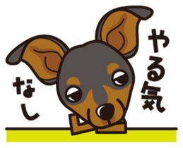 iinu - Miniature Pinscher sticker #4299272