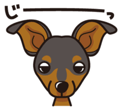 iinu - Miniature Pinscher sticker #4299274