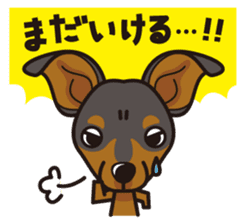 iinu - Miniature Pinscher sticker #4299278