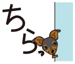 iinu - Miniature Pinscher sticker #4299279