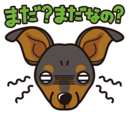 iinu - Miniature Pinscher sticker #4299281