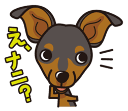 iinu - Miniature Pinscher sticker #4299283
