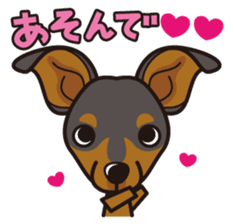 iinu - Miniature Pinscher sticker #4299284