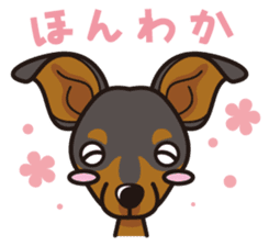 iinu - Miniature Pinscher sticker #4299290
