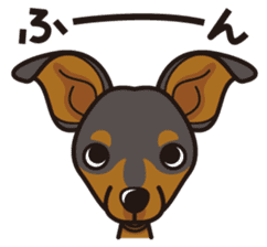 iinu - Miniature Pinscher sticker #4299291