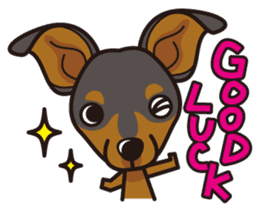 iinu - Miniature Pinscher sticker #4299296