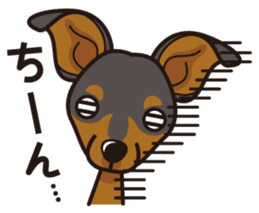 iinu - Miniature Pinscher sticker #4299301