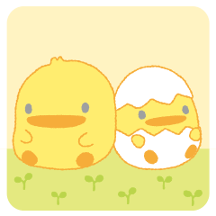 Piyokopiyo the chick bros