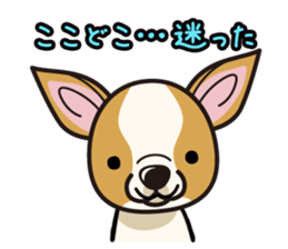 iinu  - Smooth Coat Chihuahua sticker #4300105