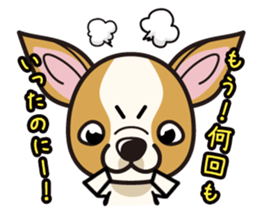 iinu  - Smooth Coat Chihuahua sticker #4300107