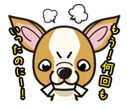 iinu - Smooth Coat Chihuahua sticker #4300107