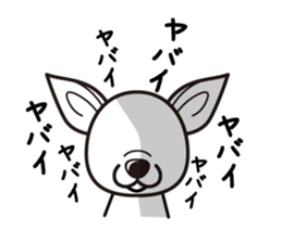 iinu  - Smooth Coat Chihuahua sticker #4300108