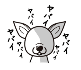 iinu - Smooth Coat Chihuahua sticker #4300108