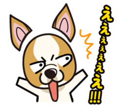 iinu  - Smooth Coat Chihuahua sticker #4300112