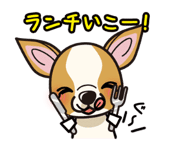 iinu - Smooth Coat Chihuahua sticker #4300114