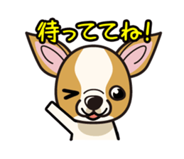 iinu  - Smooth Coat Chihuahua sticker #4300115