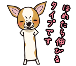 iinu - Smooth Coat Chihuahua sticker #4300116