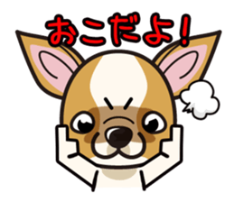 iinu  - Smooth Coat Chihuahua sticker #4300118