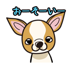 iinu  - Smooth Coat Chihuahua sticker #4300120
