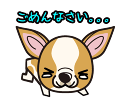 iinu  - Smooth Coat Chihuahua sticker #4300123