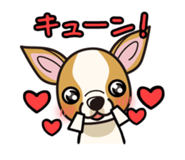 iinu  - Smooth Coat Chihuahua sticker #4300124