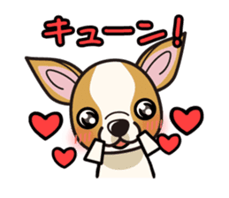iinu - Smooth Coat Chihuahua sticker #4300124