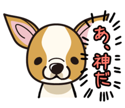iinu  - Smooth Coat Chihuahua sticker #4300125