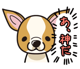 iinu - Smooth Coat Chihuahua sticker #4300125