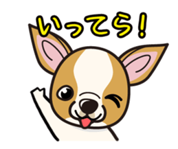 iinu  - Smooth Coat Chihuahua sticker #4300127