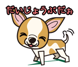 iinu  - Smooth Coat Chihuahua sticker #4300128