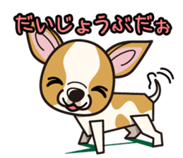iinu - Smooth Coat Chihuahua sticker #4300128