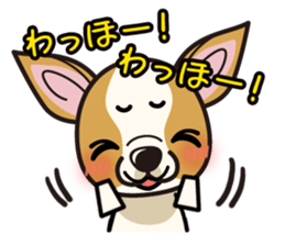 iinu  - Smooth Coat Chihuahua sticker #4300129
