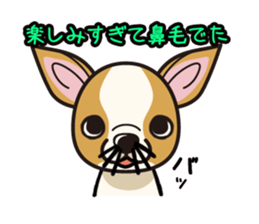 iinu  - Smooth Coat Chihuahua sticker #4300131