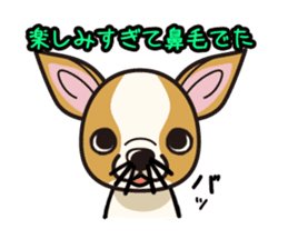 iinu - Smooth Coat Chihuahua sticker #4300131
