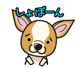 iinu - Smooth Coat Chihuahua sticker #4300132