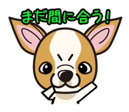 iinu  - Smooth Coat Chihuahua sticker #4300133