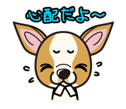 iinu  - Smooth Coat Chihuahua sticker #4300134
